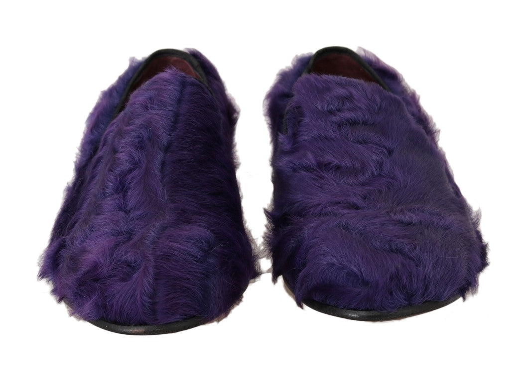 Dolce & Gabbana Plush Purple Sheep Fur Loafers